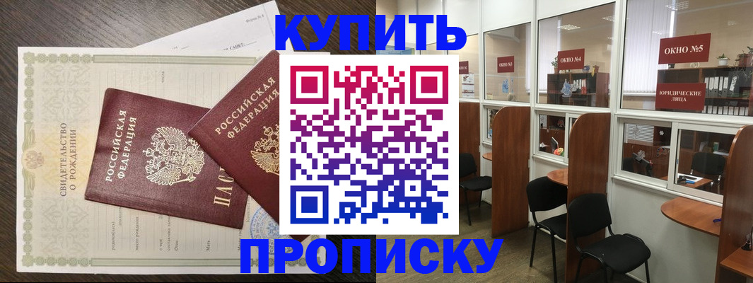 прописка законно в Курчалом